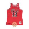 Michael Jordan Chicago Bulls 1989-1990 Authentic Jersey