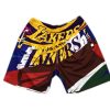 Los Angeles Lakers Rainbow M&N Big Face Basketball Shorts