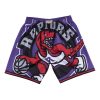 Toronto Raptors Big Face M&N Purple Shorts