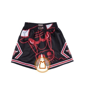 Chicago Bulls Big Face Hardwood Classics Shorts